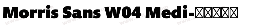 Morris Sans W04 Medi字体转换